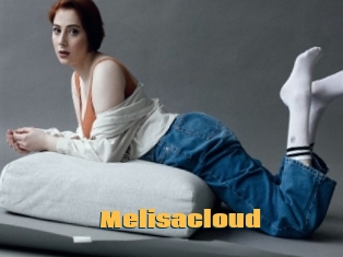 Melisacloud