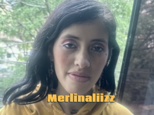Merlinaliizz