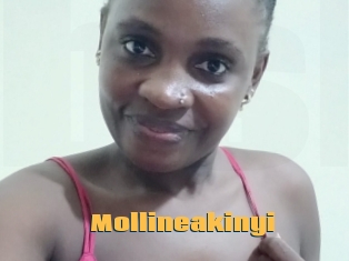 Mollineakinyi