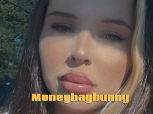 Moneybagbunny