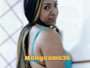 Monycams36