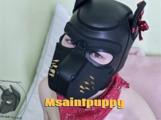 Msaintpuppy