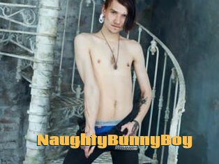 NaughtyBunnyBoy