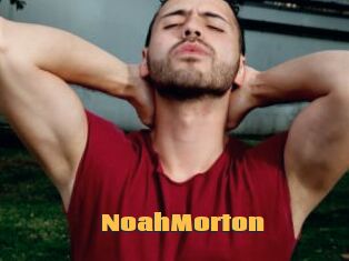 NoahMorton