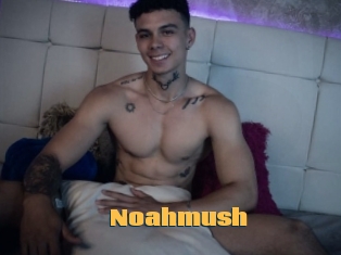 Noahmush