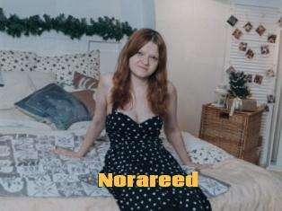 Norareed