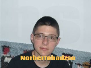 Norbertobadzso
