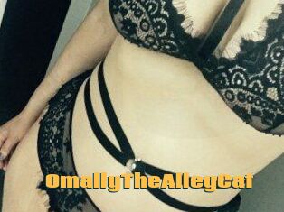 OmallyTheAlleyCat