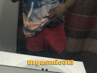 Orgasmic313