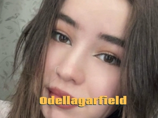 Odellagarfield