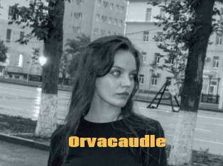 Orvacaudle