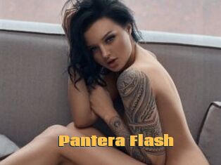 Pantera_Flash