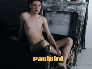 PaulBird