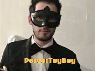 PerverToyBoy