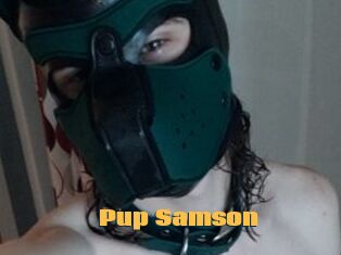 Pup_Samson