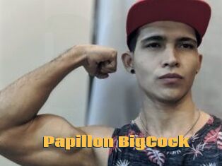 Papillon_BigCock