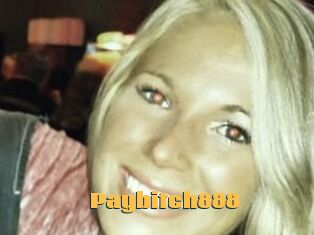 Paybitch888