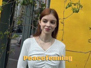 Peacefenning