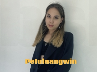 Petulaangwin