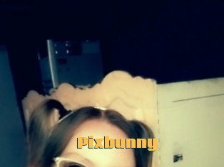 Pixbunny
