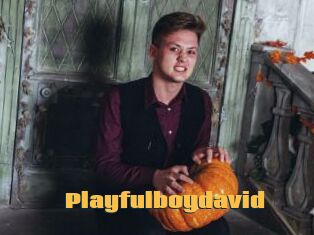 Playfulboydavid