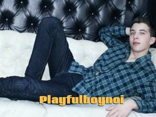 Playfulboynoi