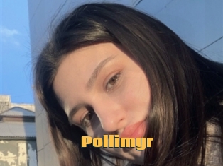 Pollimyr