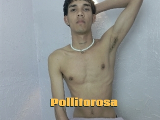 Pollitorosa
