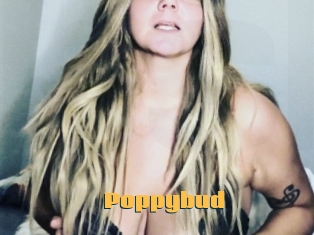 Poppybud