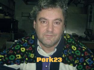 Pork23