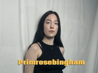 Primrosebingham