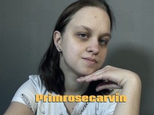 Primrosecarvin