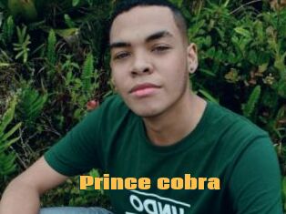 Prince_cobra
