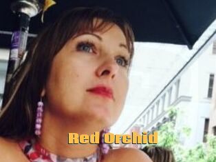 Red_Orchid