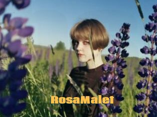 RosaMalet