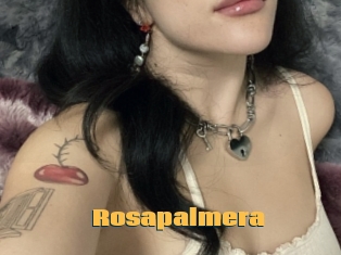Rosapalmera