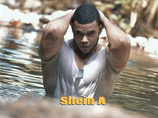 Shein_A