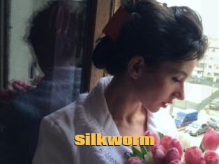 Silkworm