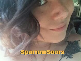 SparrowSoars