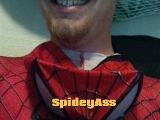 SpideyAss
