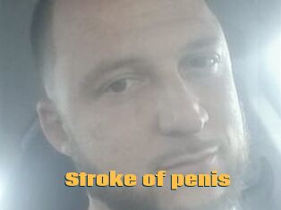 Stroke_of_penis