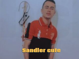 Sandler_cute
