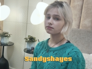 Sandyshayes
