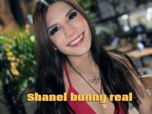 Shanel_bunny_real