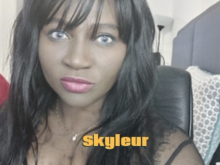 Skyleur