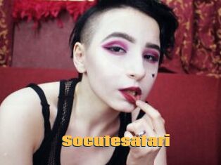 Socutesatari