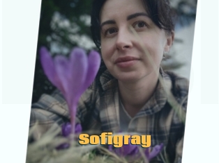 Sofi_gray