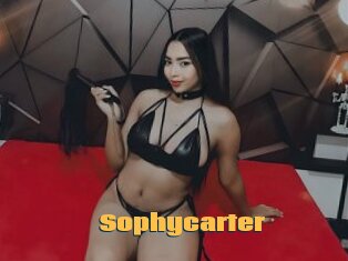 Sophycarter