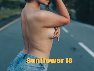 Sunflower_18