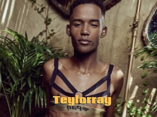 Teylorray